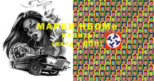 шишки Верея
