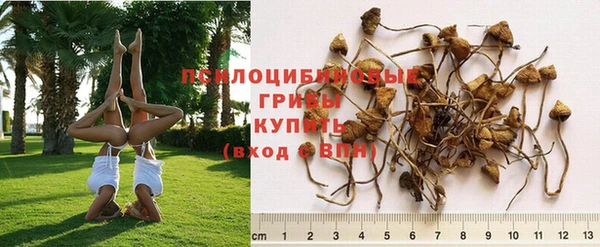 таблы Ростов
