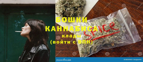 шишки Верея