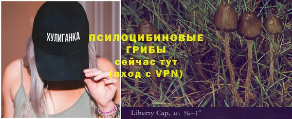 spice Бугульма