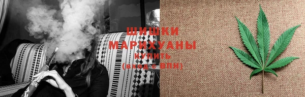 шишки Верея