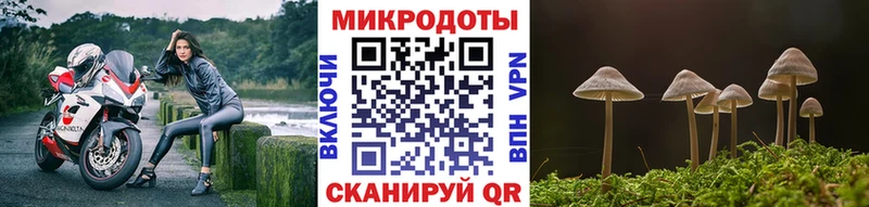 Псилоцибиновые грибы ЛСД  Рузаевка 